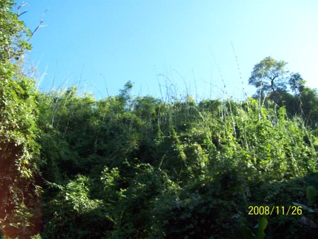 100_1139.jpg