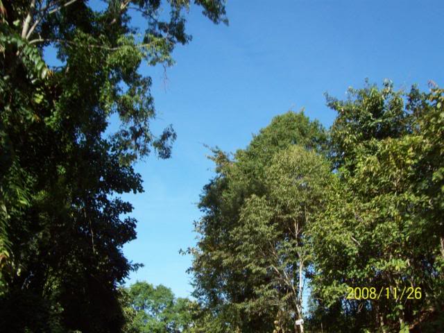 100_1140.jpg