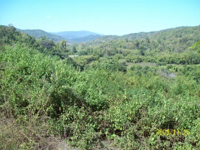 100_1146.jpg