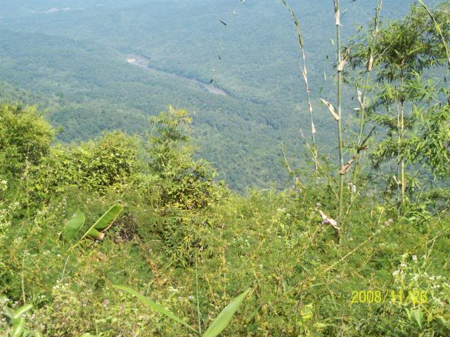 100_1159.jpg