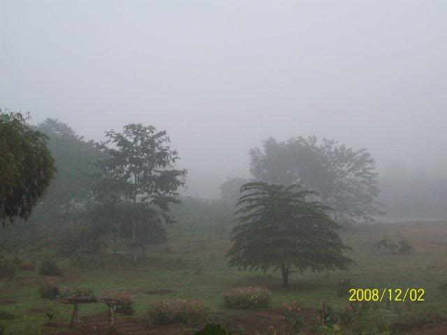 100_1767.jpg