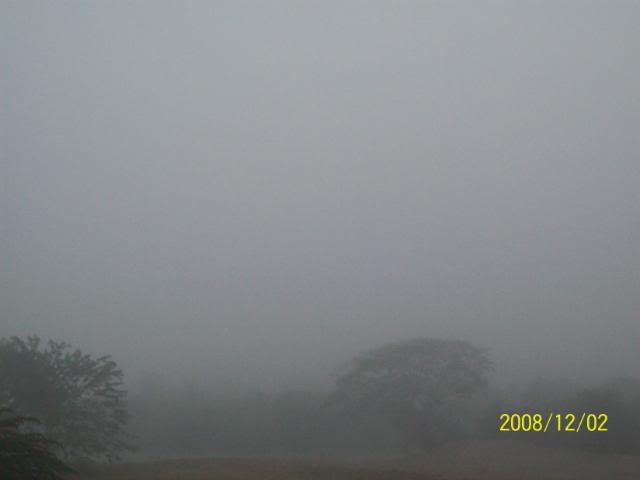 100_1768.jpg