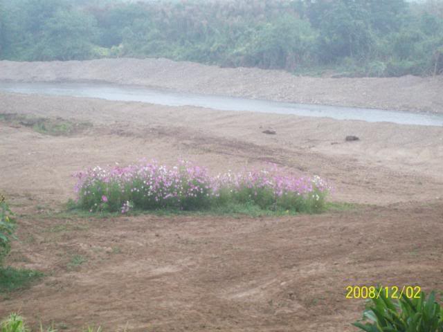 100_1769.jpg