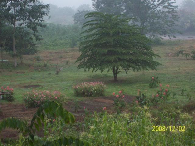 100_1770.jpg