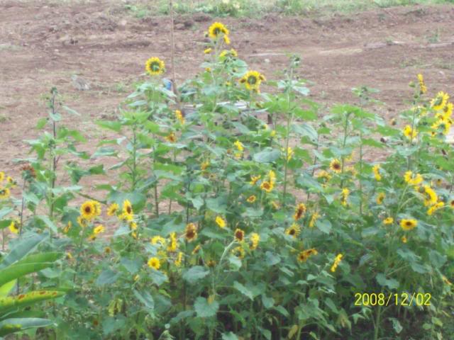 100_1775.jpg