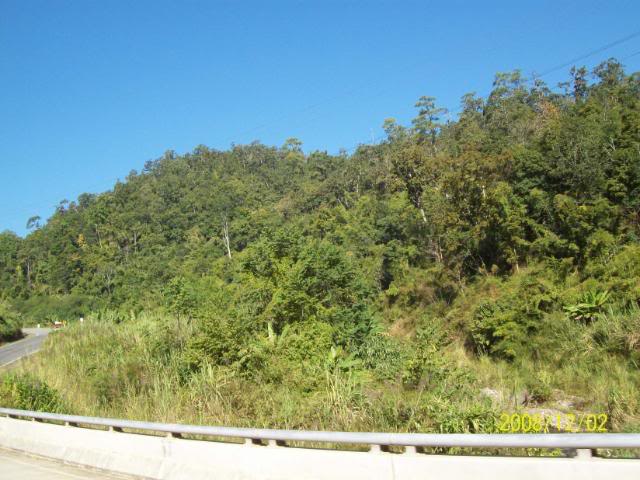 100_1786.jpg