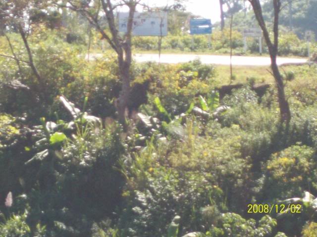100_1809.jpg