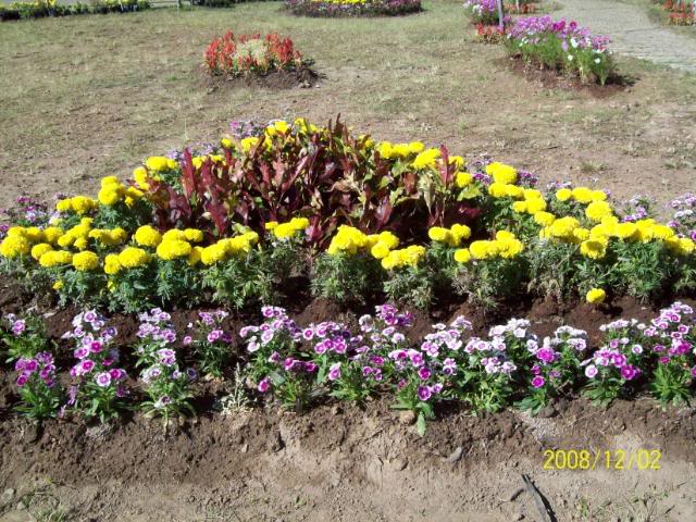 100_1813.jpg