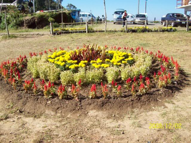 100_1814.jpg