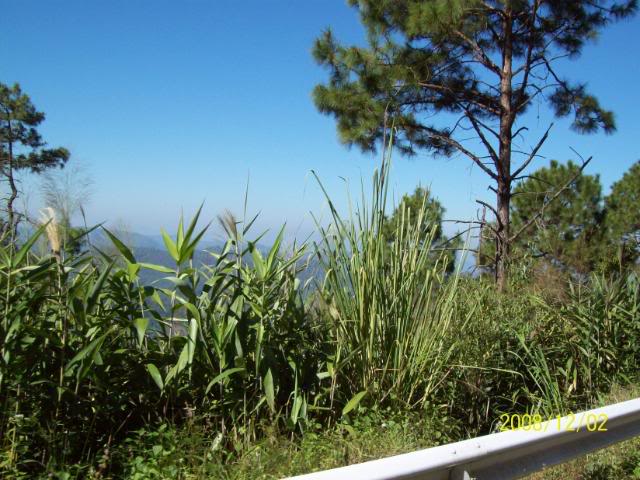 100_1823.jpg