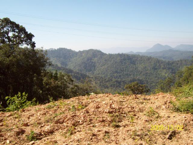 100_1832.jpg