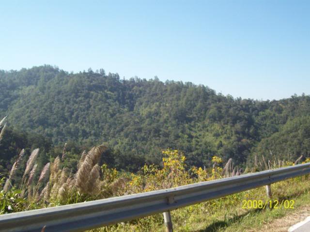 100_1856.jpg