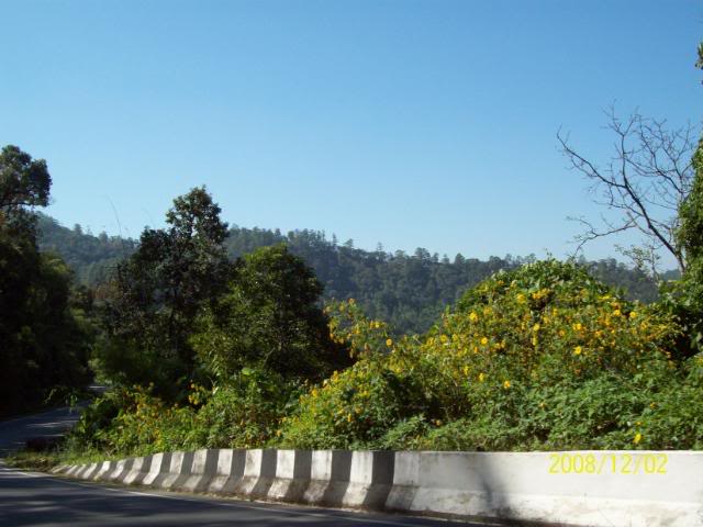 100_1860.jpg