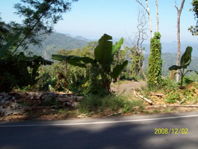 100_1861.jpg