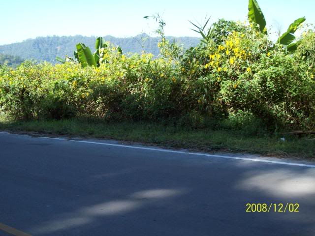 100_1862.jpg