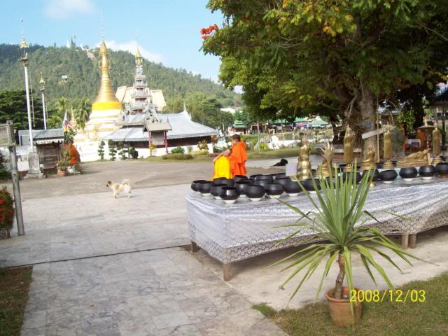 100_1933.jpg