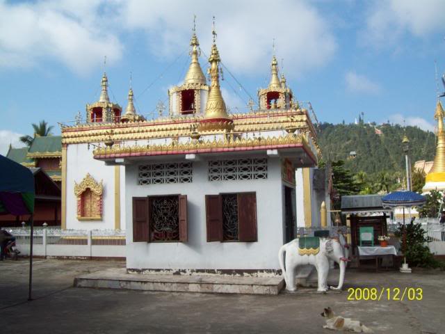 100_1936.jpg