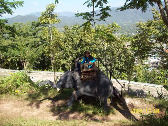 100_2140.jpg