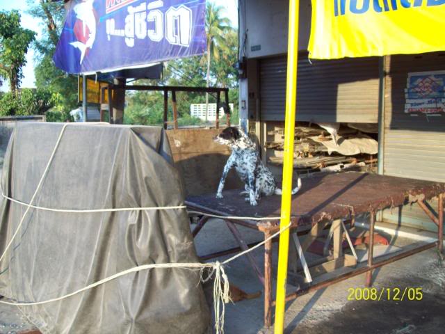 100_2164.jpg