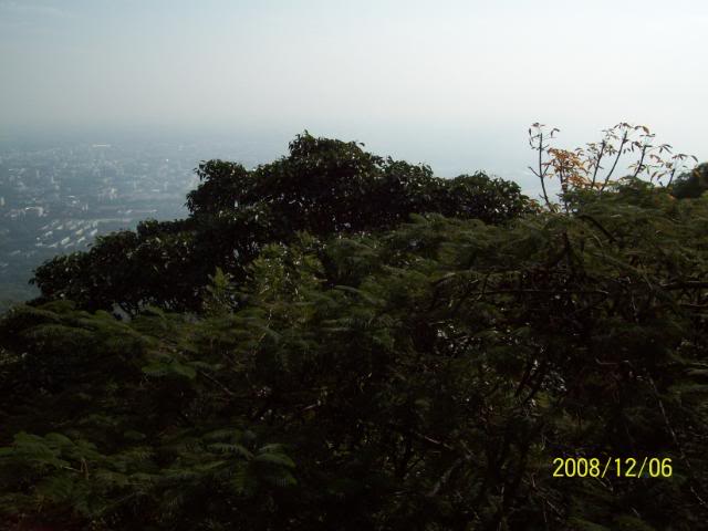 100_2175.jpg