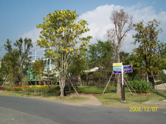 100_2293.jpg