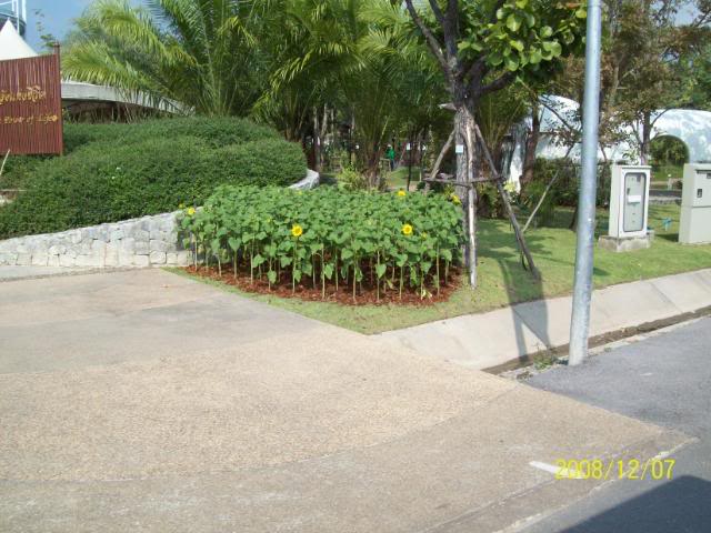 100_2294.jpg