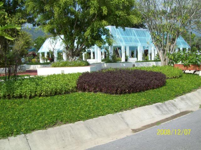 100_2297.jpg