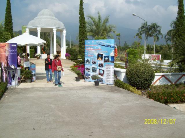 100_2310.jpg