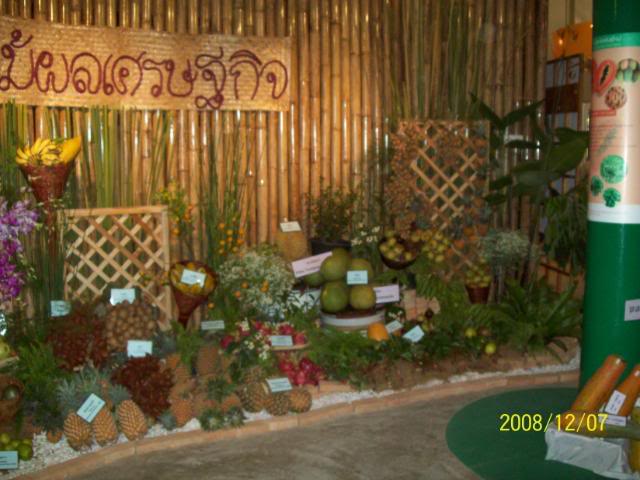 100_2326.jpg