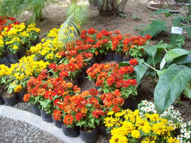100_2345.jpg