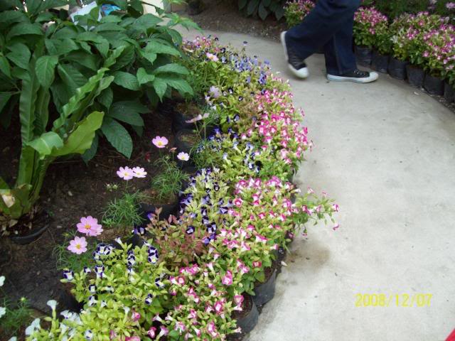 100_2350.jpg