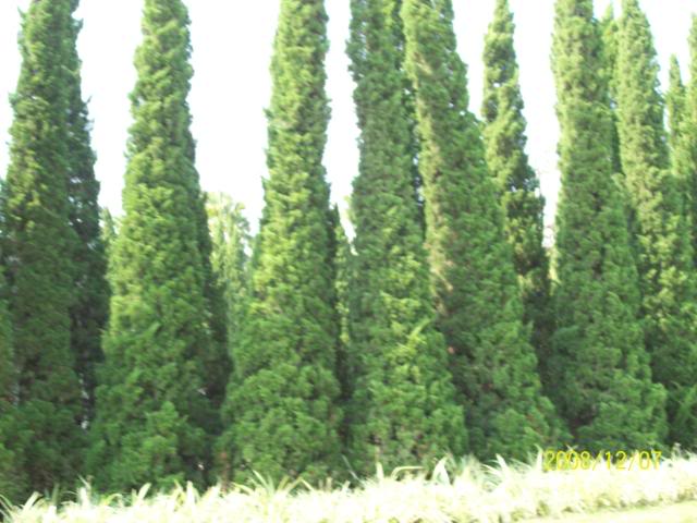 100_2357.jpg