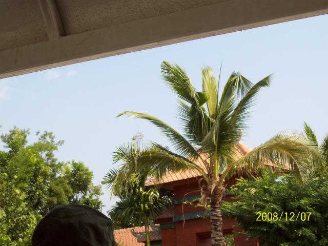 100_2358.jpg