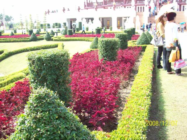100_2369.jpg