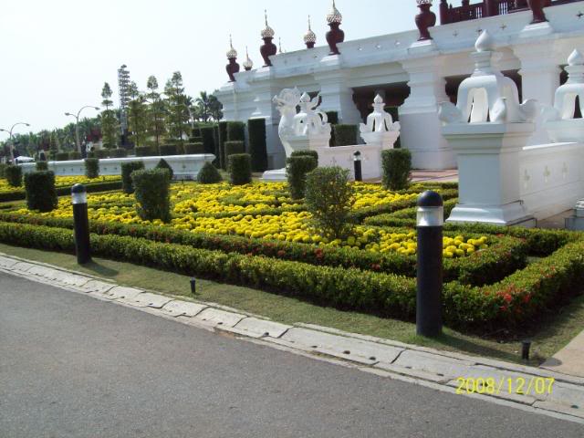 100_2377.jpg
