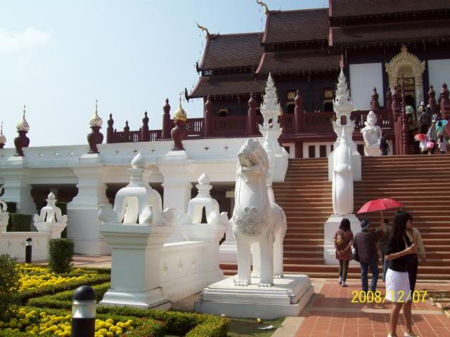 100_2378.jpg
