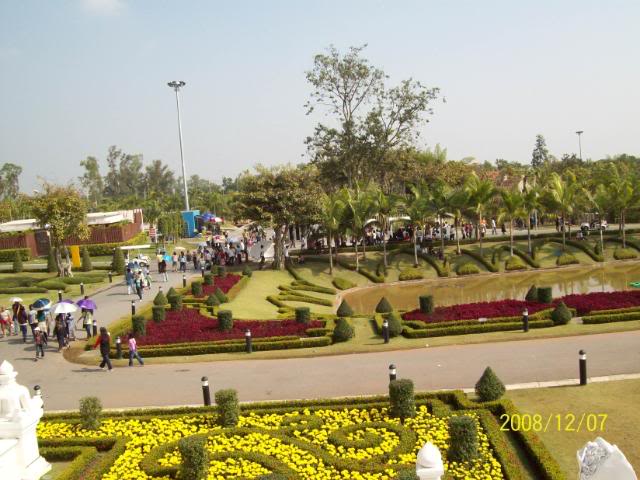 100_2385.jpg