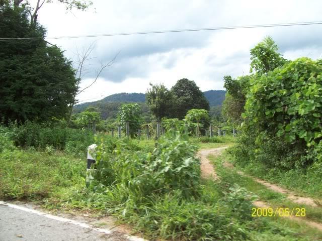 100_2921.jpg