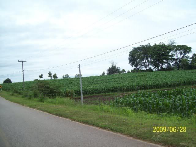100_2981.jpg