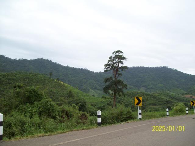 100_3236.jpg