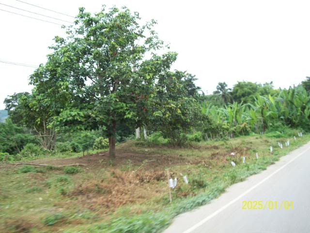 100_3240.jpg