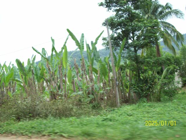 100_3242.jpg