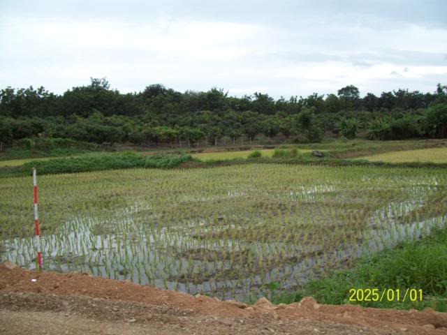 100_3251.jpg