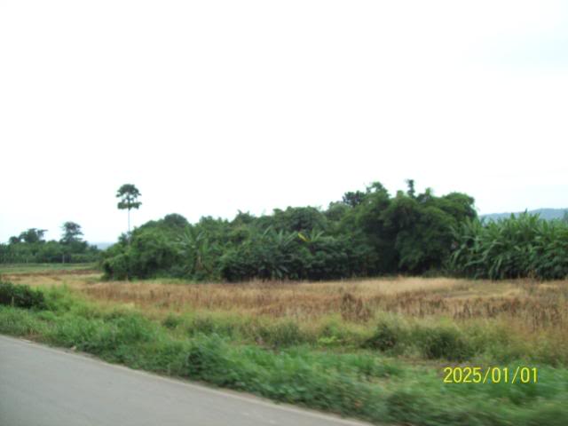 100_3252.jpg