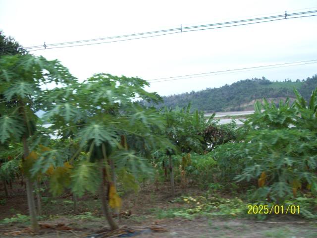 100_3256.jpg