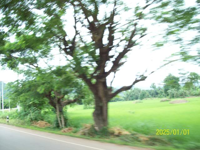 100_3274.jpg