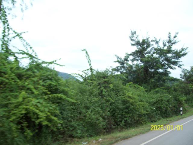 100_3277.jpg