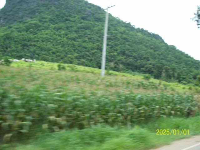 100_3285.jpg