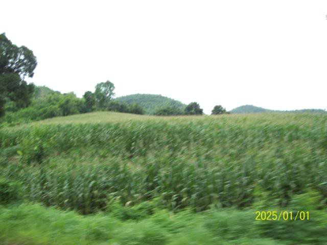 100_3289.jpg