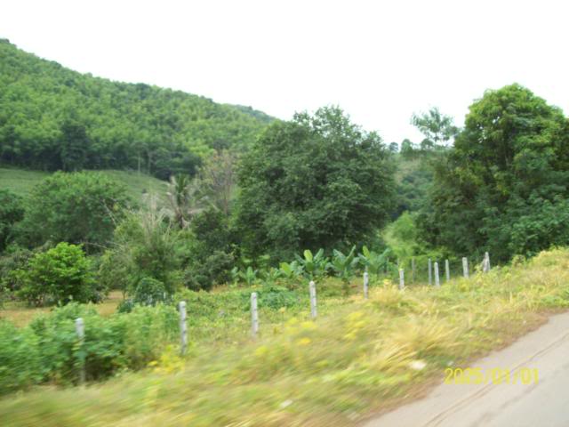 100_3290.jpg
